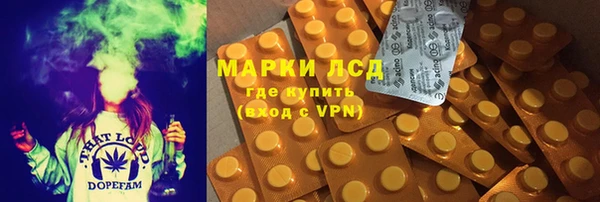 гидра Киренск
