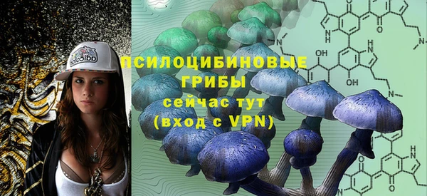 гидра Киренск