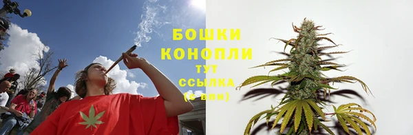 гидра Киренск