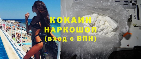 гидра Киренск